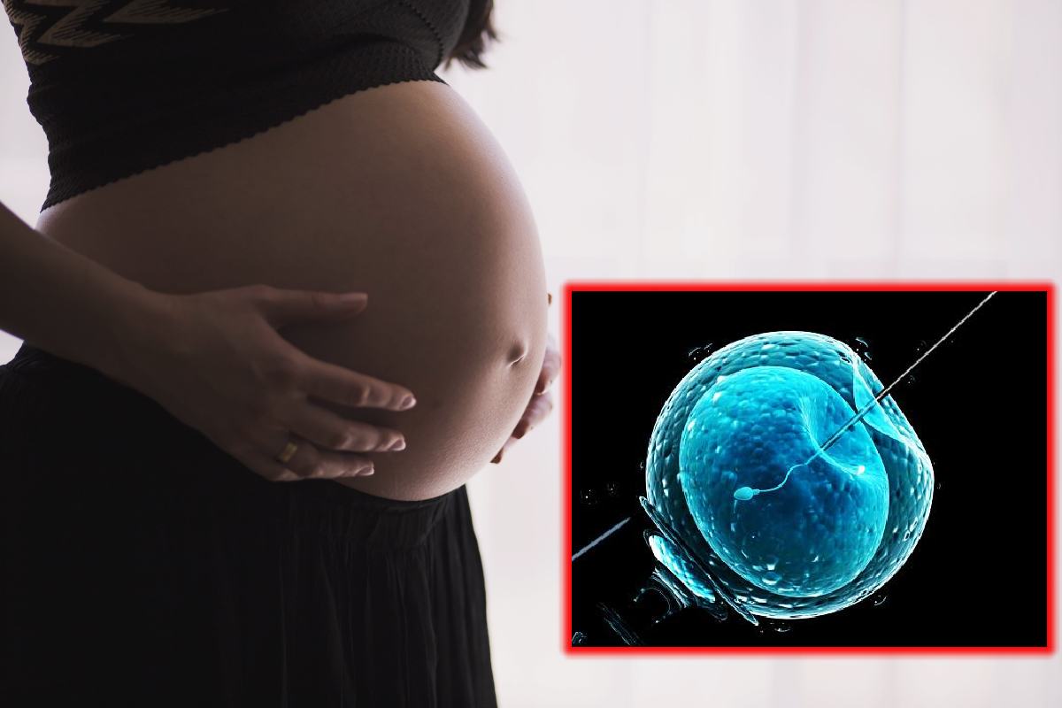 Celebritati care au devenit mame cu ajutorul inseminarii artificiale